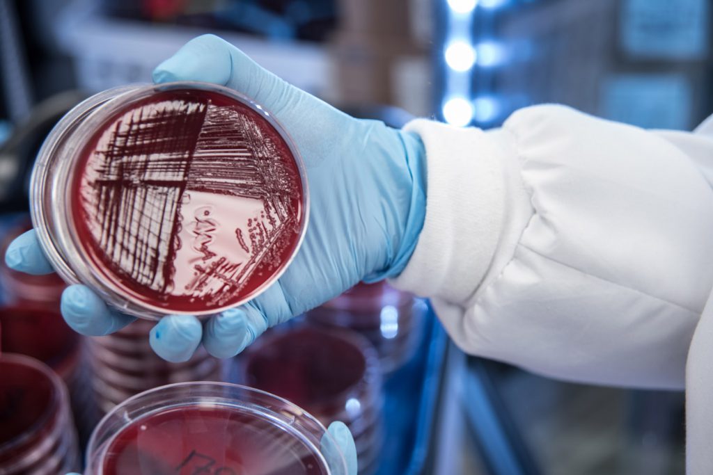 industrial photo in a biotech lab